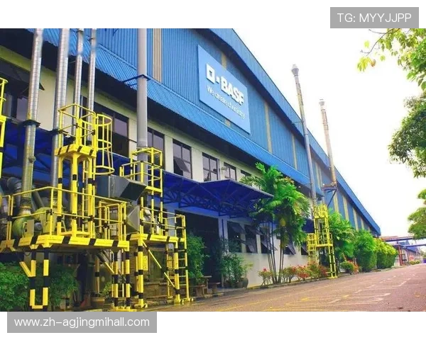 选择PA集团代理合作伙伴实现企业业务的快速增长与长远发展